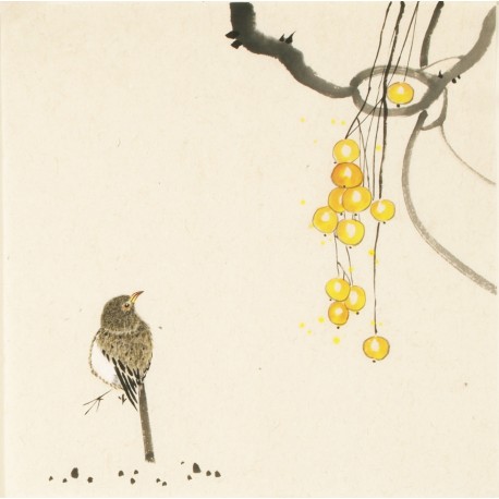 Other Birds - CNAG006708
