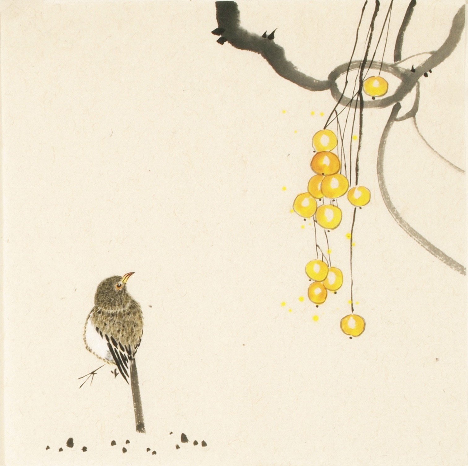 Other Birds - CNAG006708