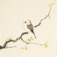 Other Birds - CNAG006709