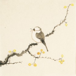 Other Birds - CNAG006709