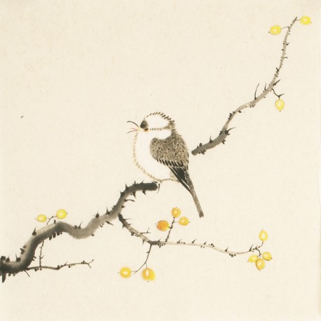 Other Birds - CNAG006709