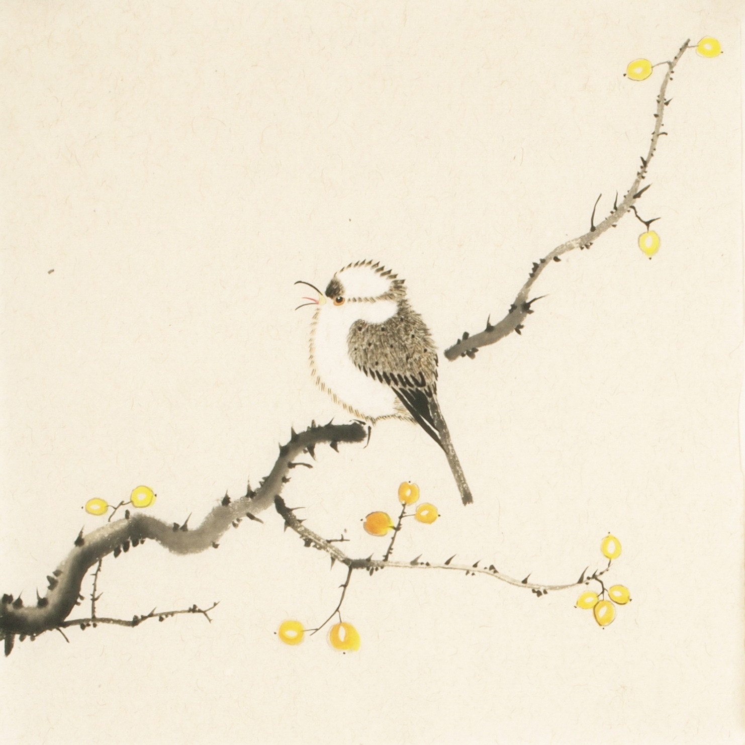 Other Birds - CNAG006709