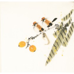 Other Birds - CNAG006711