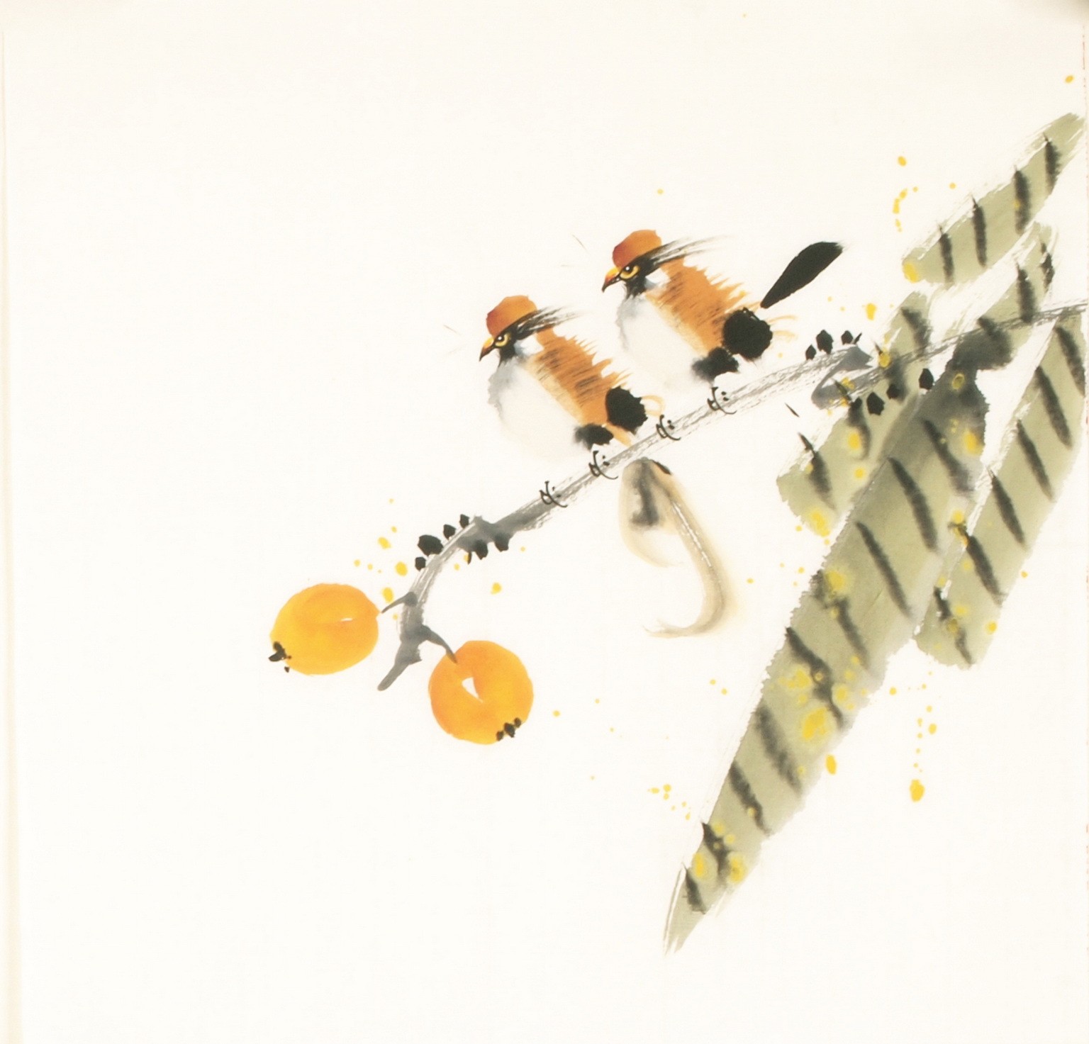 Other Birds - CNAG006711