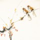 Other Birds - CNAG006712