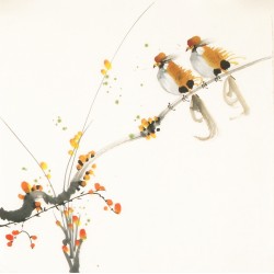 Other Birds - CNAG006712