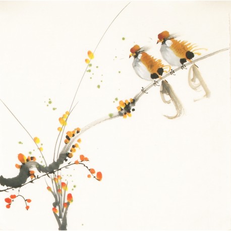 Other Birds - CNAG006712