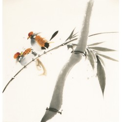 Other Birds - CNAG006713