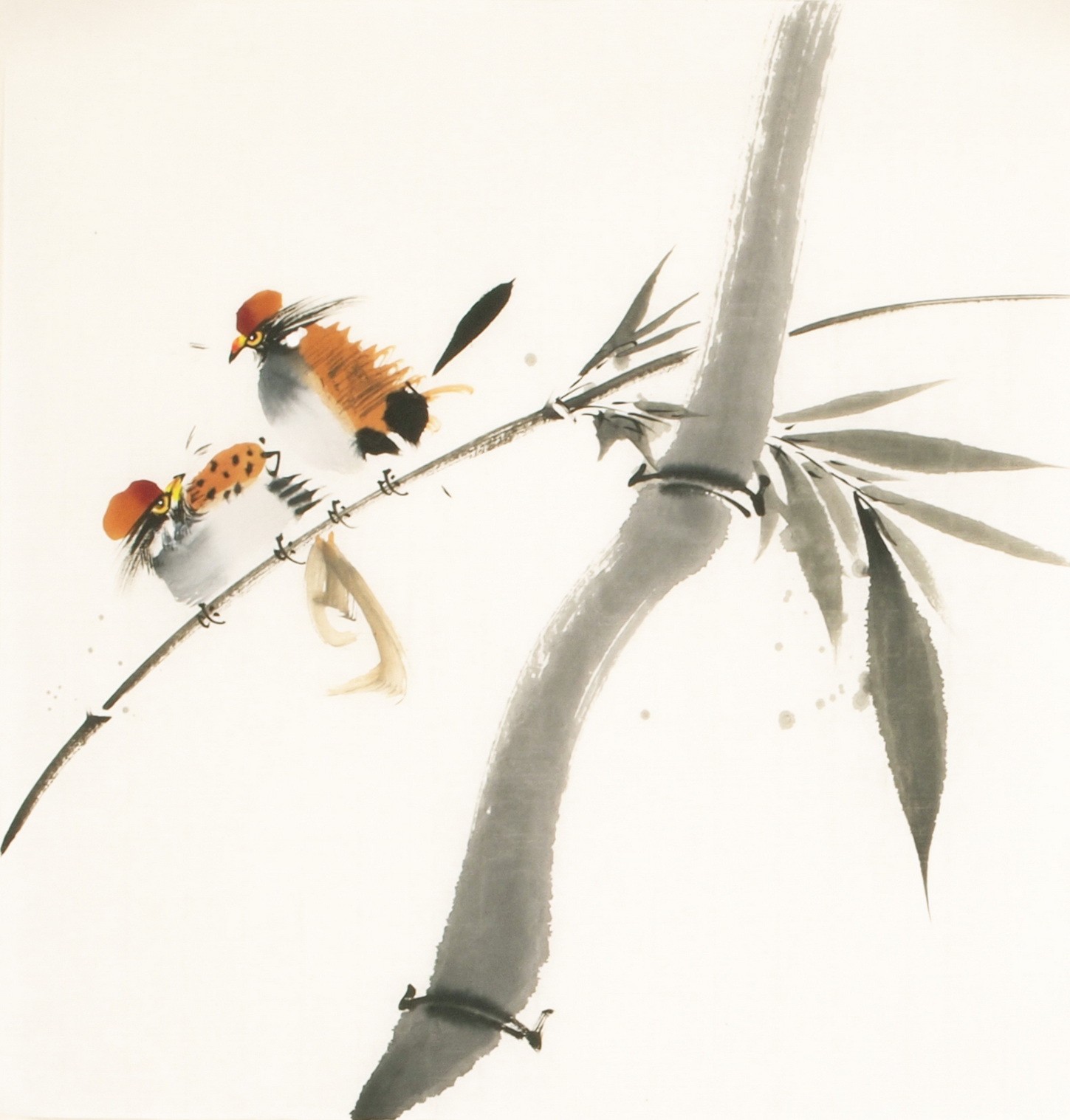 Other Birds - CNAG006713
