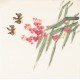 Other Birds - CNAG006714