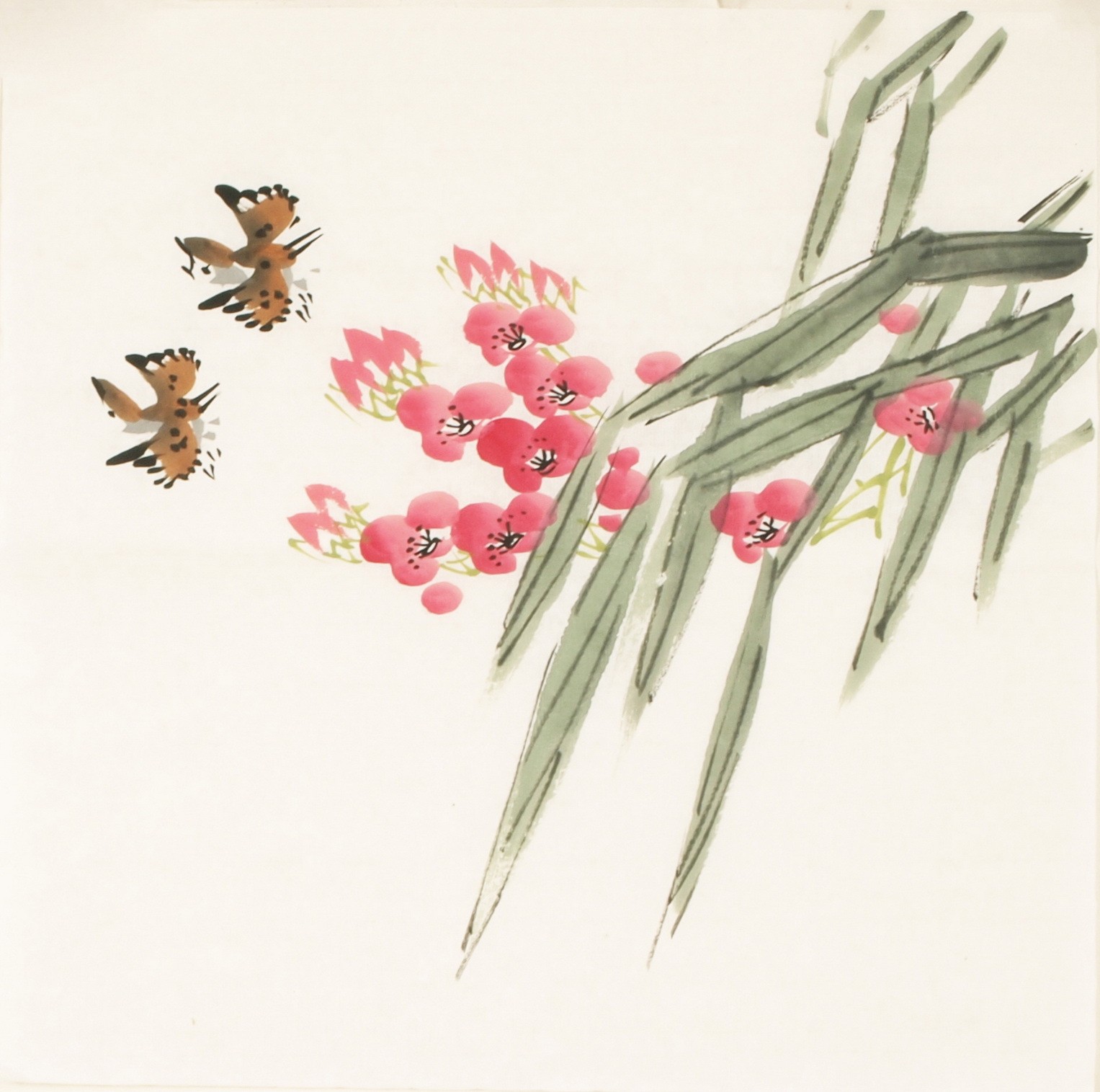 Other Birds - CNAG006714