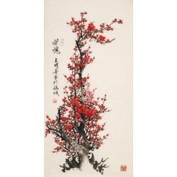 Plum - CNAG000672