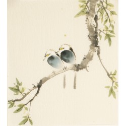 Other Birds - CNAG006716