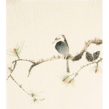 Other Birds - CNAG006717