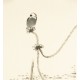 Other Birds - CNAG006719