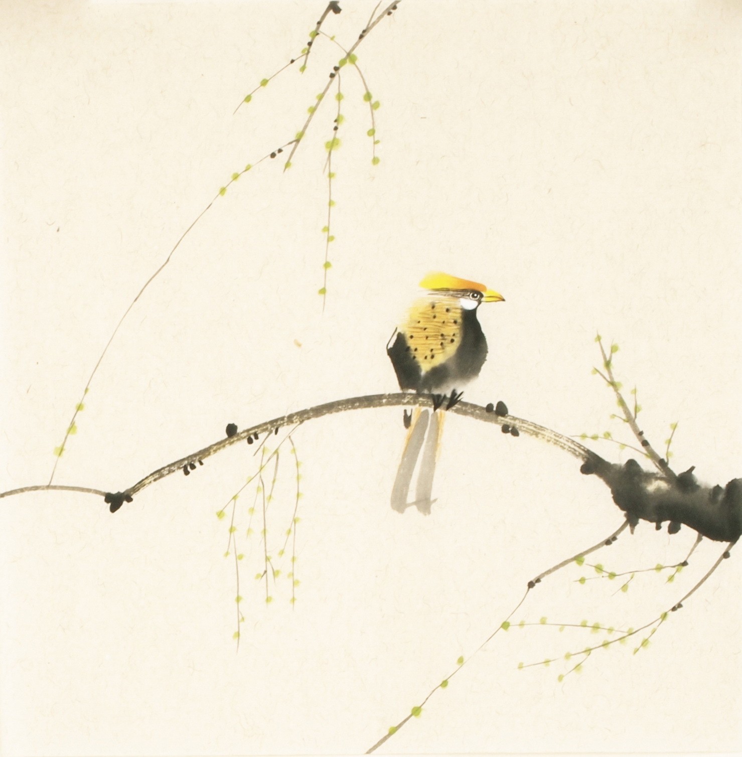 Other Birds - CNAG006720