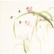 Other Birds - CNAG006723