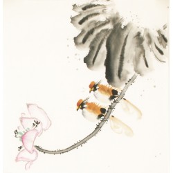 Other Birds - CNAG006724