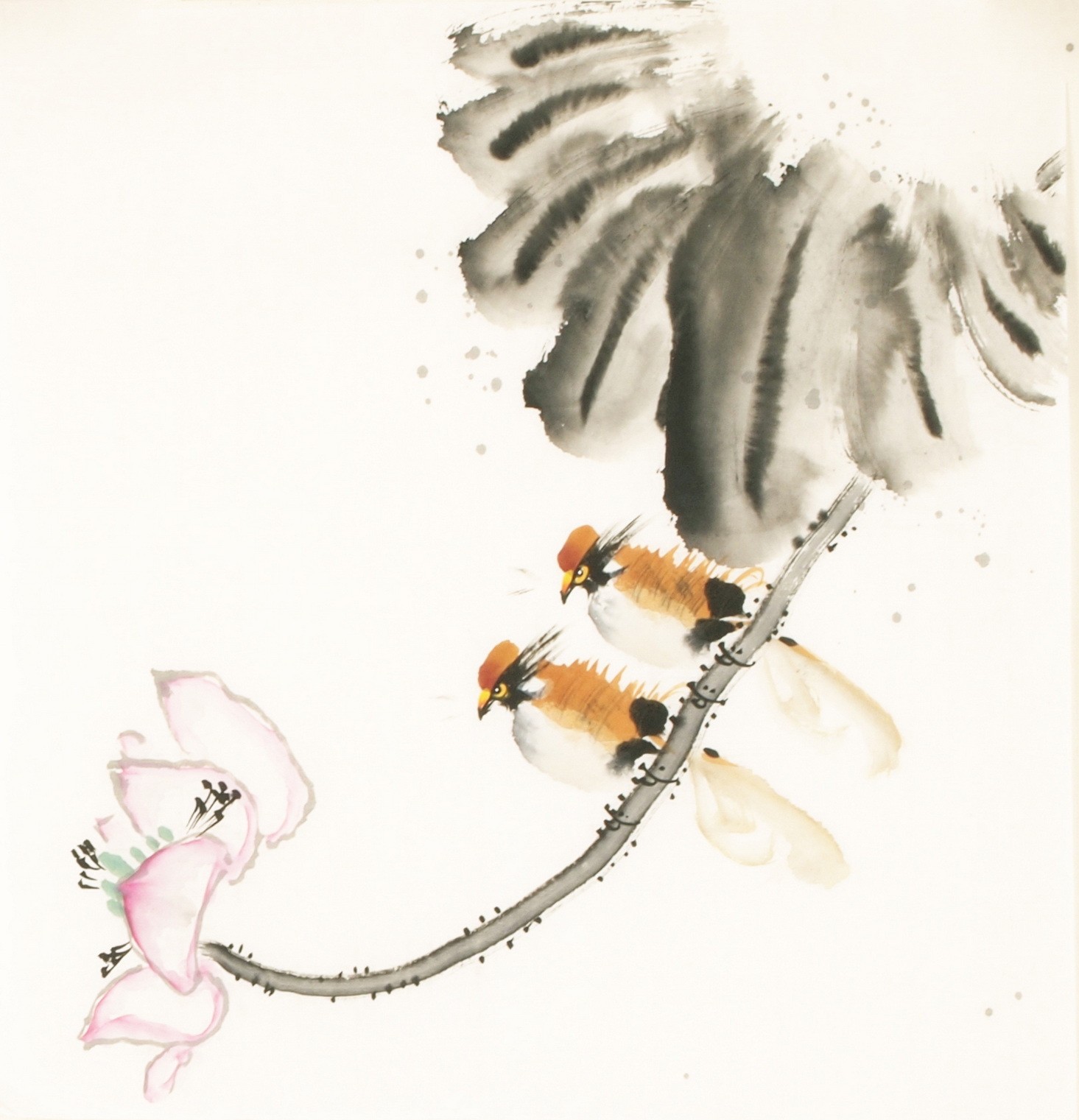 Other Birds - CNAG006724