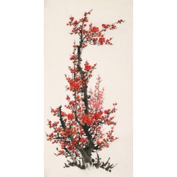 Plum - CNAG000673