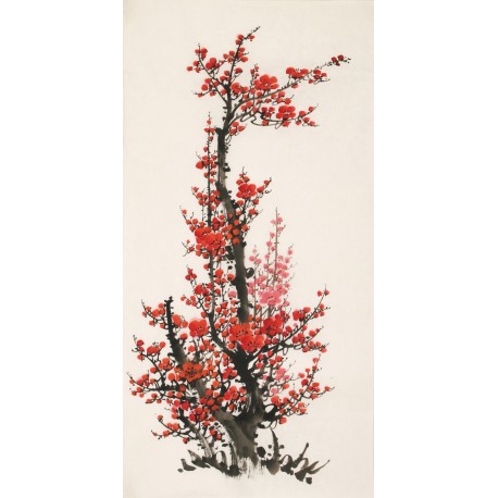 Plum - CNAG000673