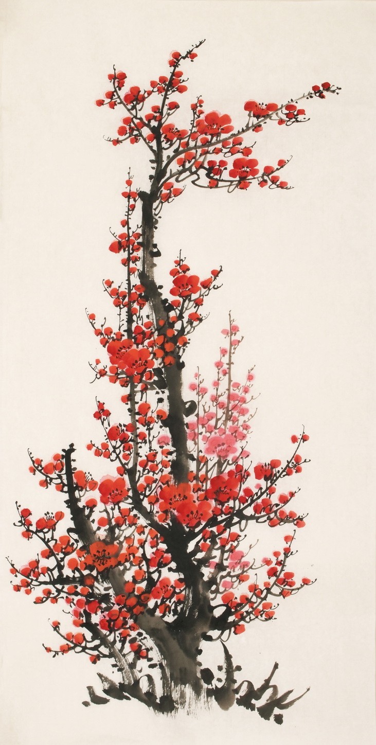 Plum - CNAG000673