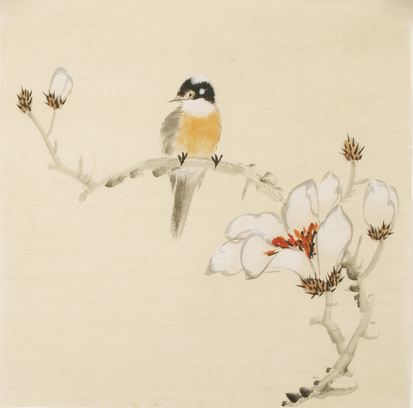 Other Birds - CNAG006726