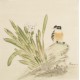 Other Birds - CNAG006727