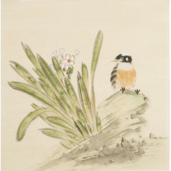 Other Birds - CNAG006727