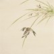 Other Birds - CNAG006728