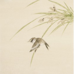 Other Birds - CNAG006728