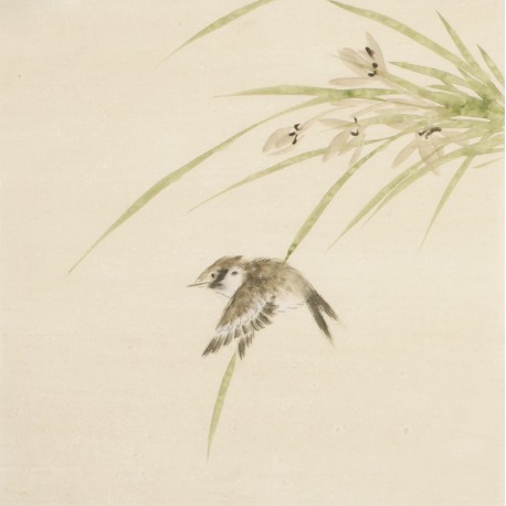 Other Birds - CNAG006728