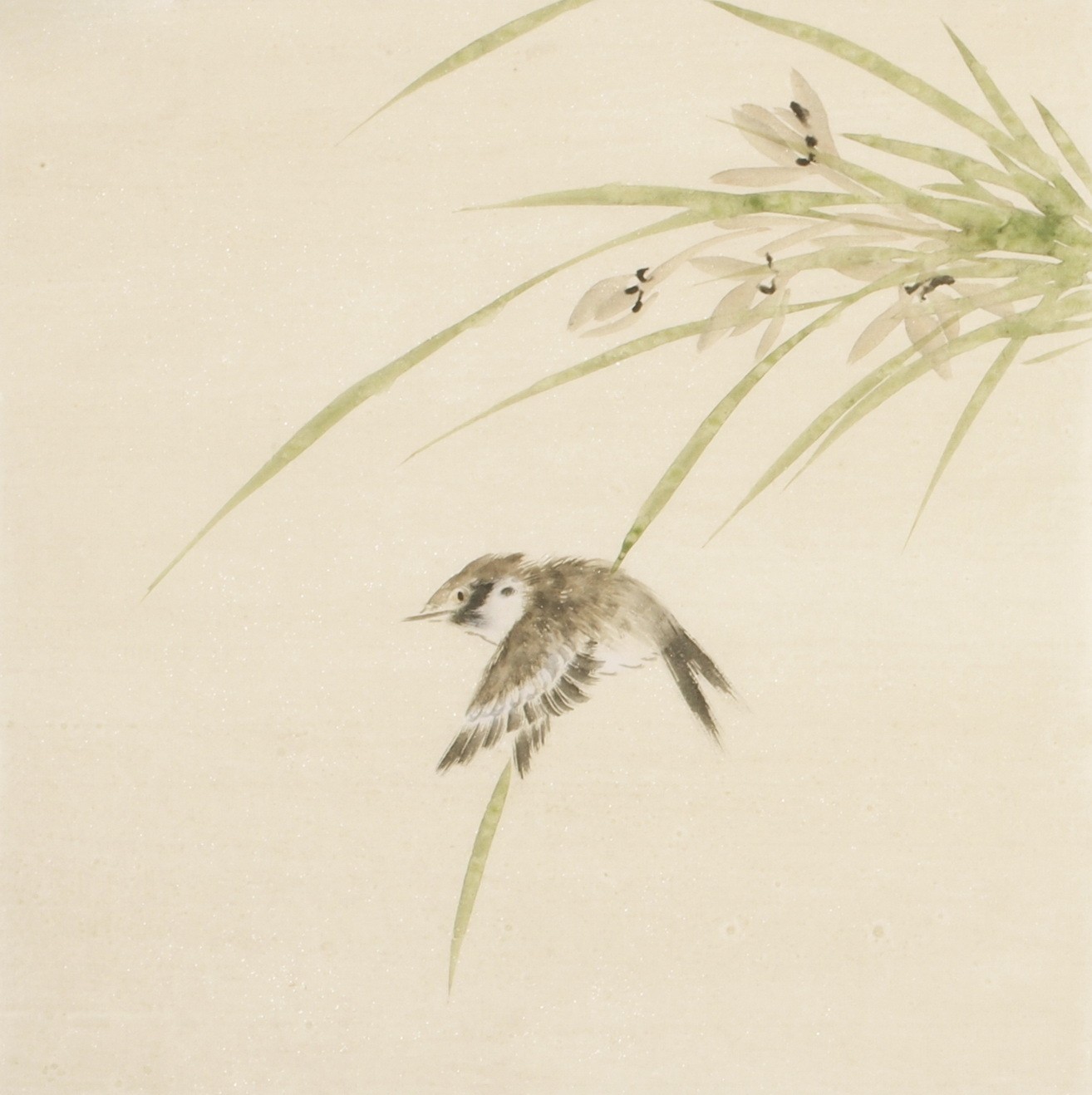 Other Birds - CNAG006728