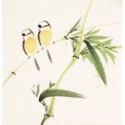 Other Birds - CNAG006730