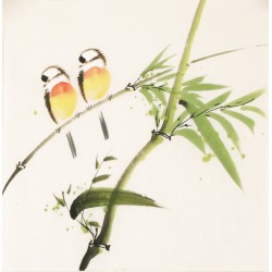 Other Birds - CNAG006731