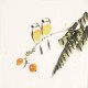 Other Birds - CNAG006732