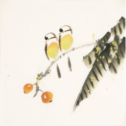 Other Birds - CNAG006732