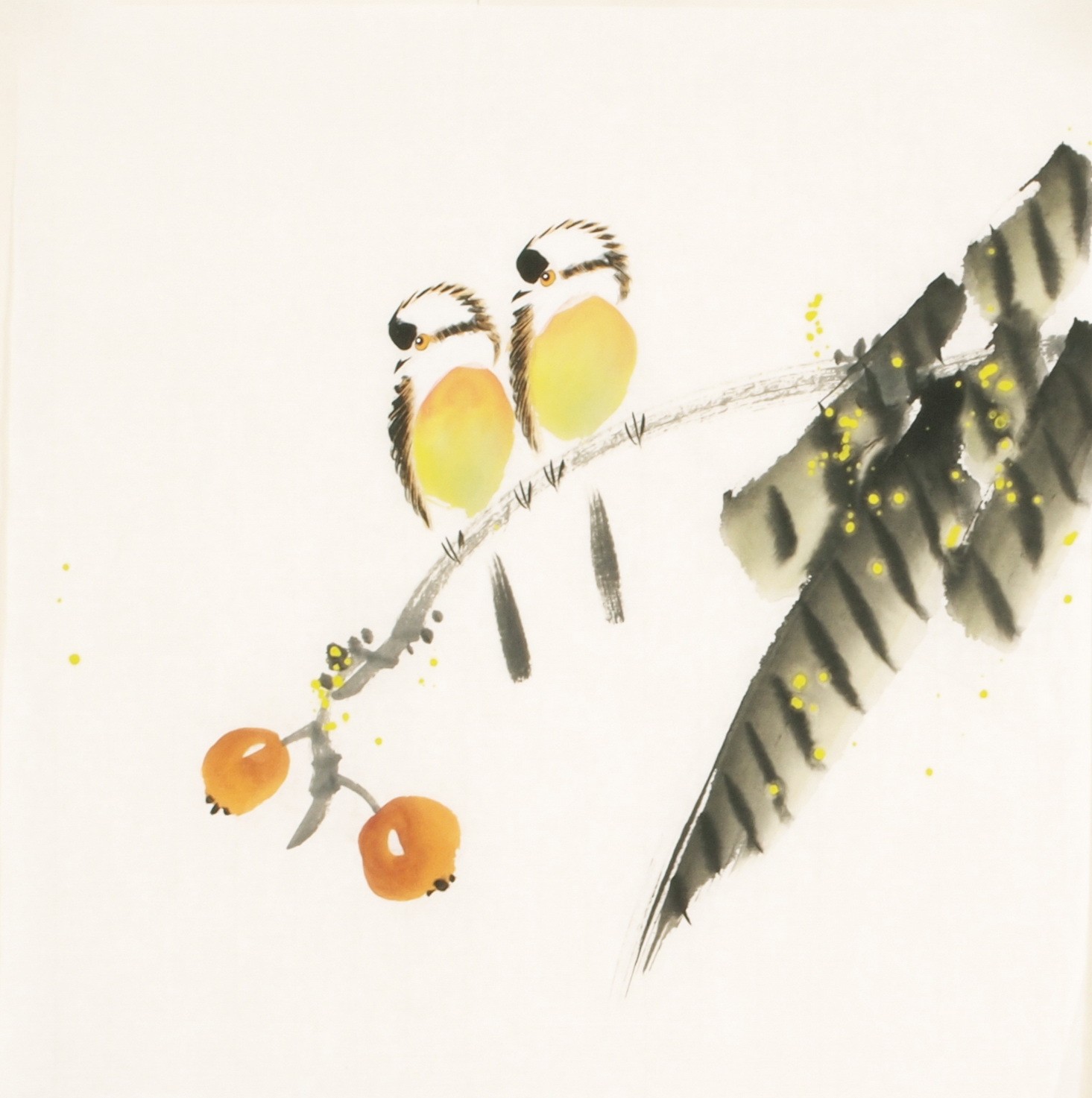 Other Birds - CNAG006732