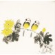 Other Birds - CNAG006734