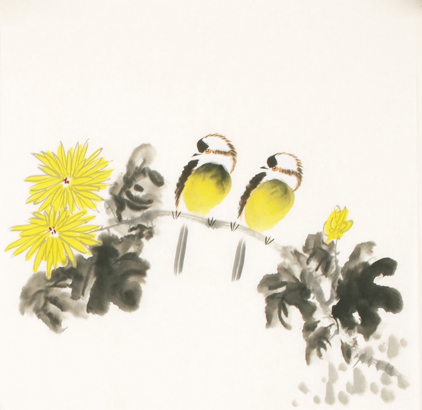 Other Birds - CNAG006734