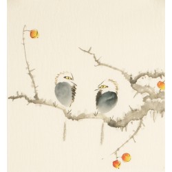 Other Birds - CNAG006737