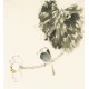 Other Birds - CNAG006738