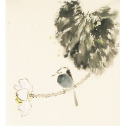 Other Birds - CNAG006738