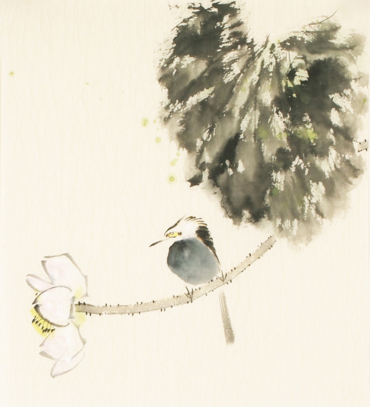 Other Birds - CNAG006738