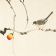 Other Birds - CNAG006740