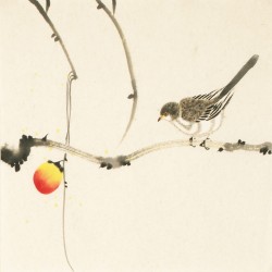 Other Birds - CNAG006740