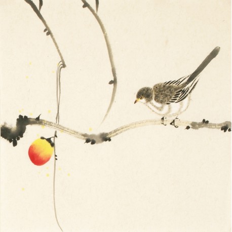 Other Birds - CNAG006740