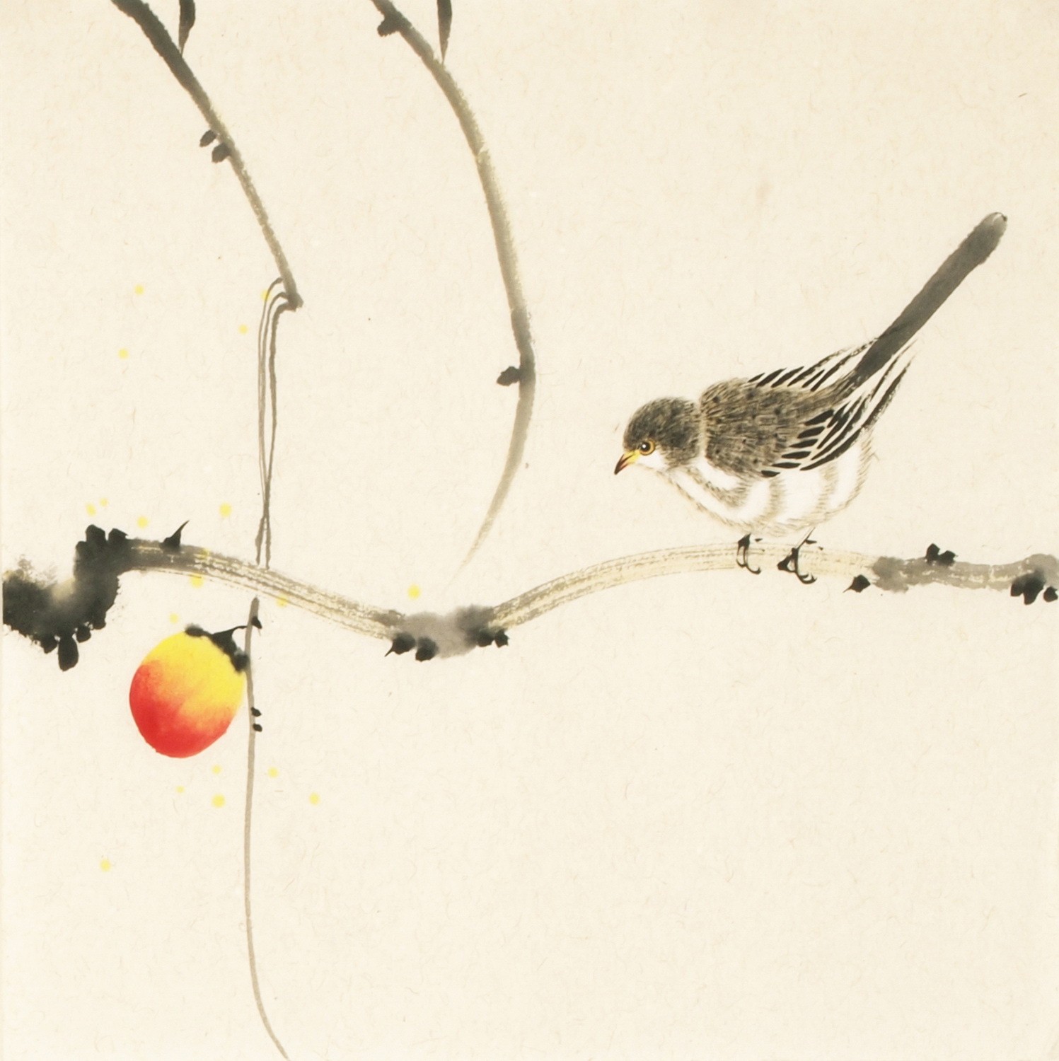 Other Birds - CNAG006740