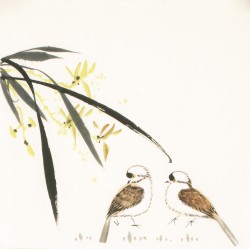 Other Birds - CNAG006741