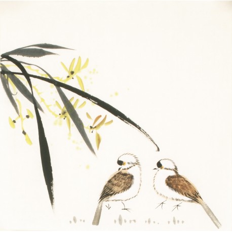 Other Birds - CNAG006741